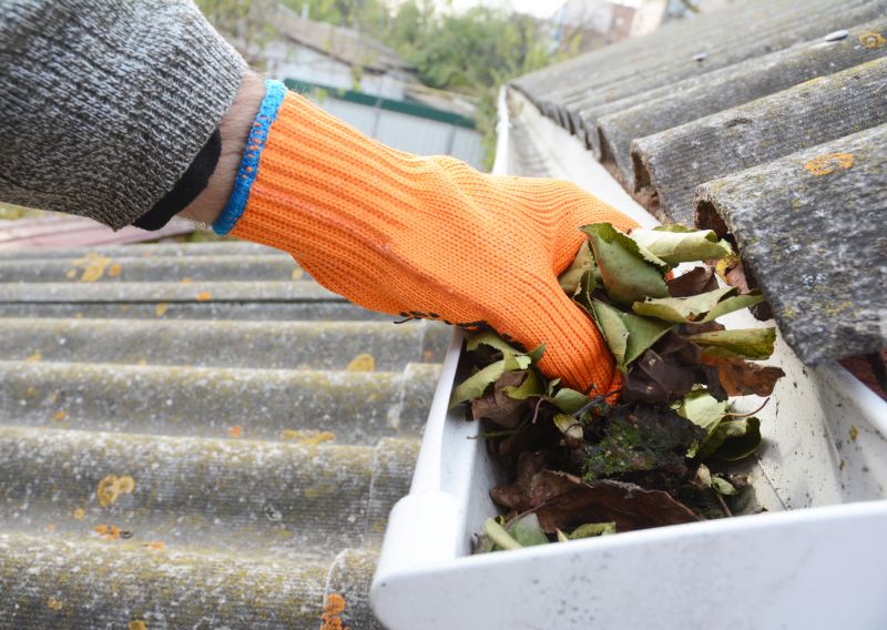 Clogged Gutter Clearing in Monmouth County, NJ