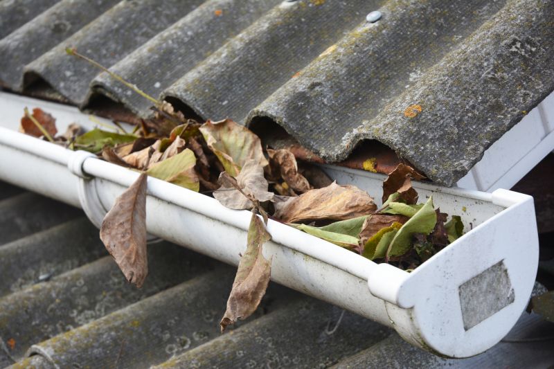 Commercial Gutter Unclogging in Denver County, CO