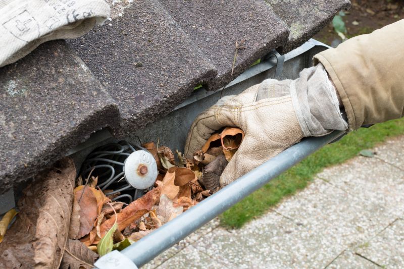 Gutter Pine Needle Removal in Morris County, NJ