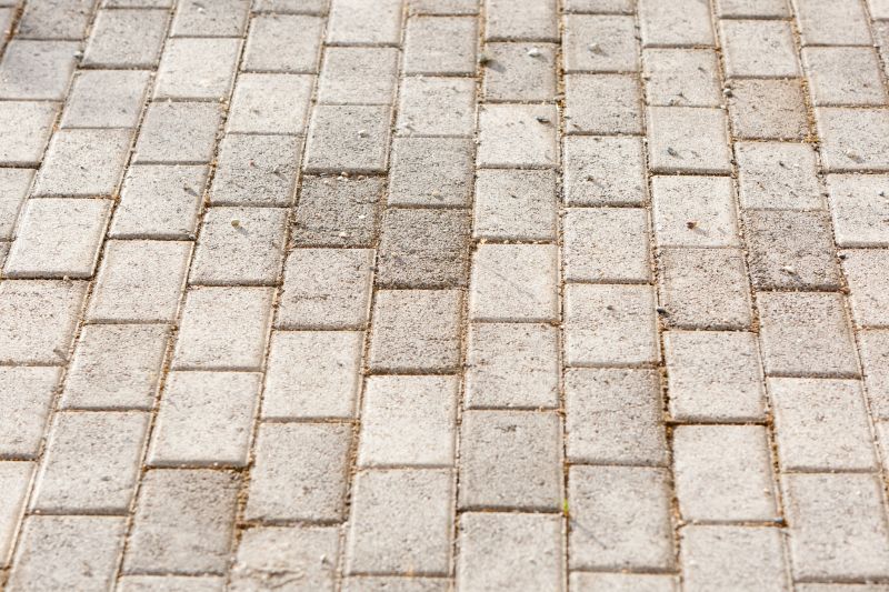 Sealed Paver Driveway