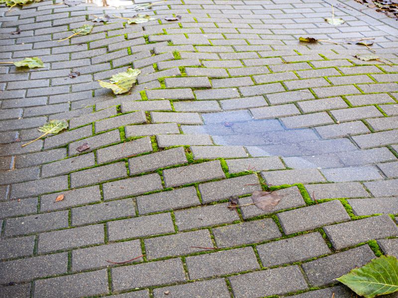 Preparing Your Pavers